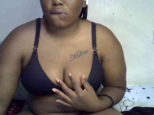 Casse-dellah webcam