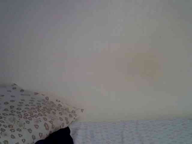 Casse-dellah webcam