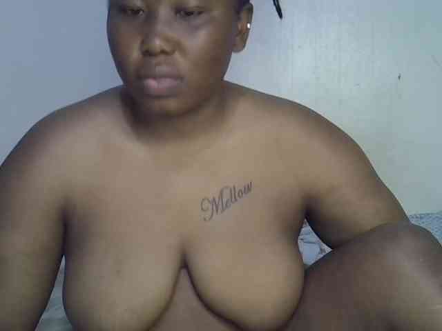 Casse-dellah webcam