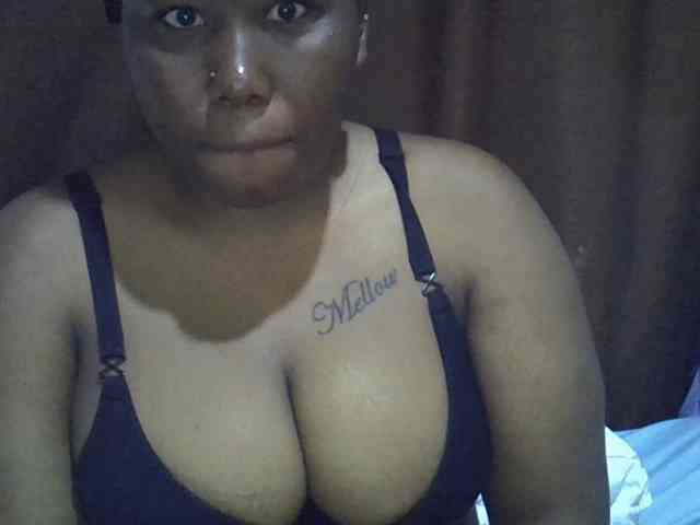Casse-dellah webcam