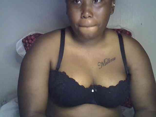 Casse-dellah webcam