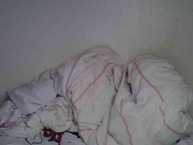 Casse-dellah webcam
