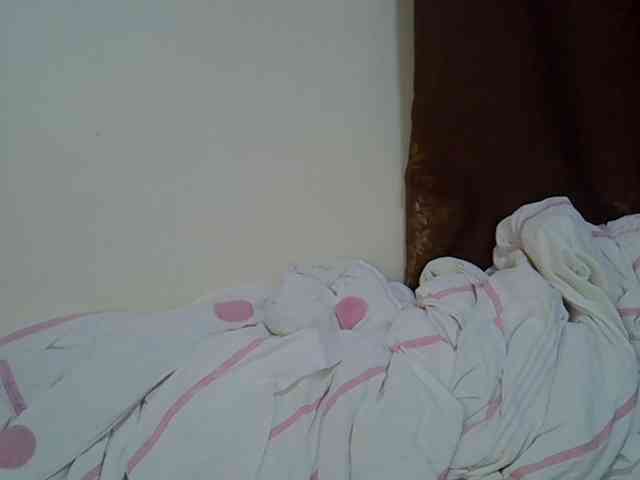 Casse-dellah webcam