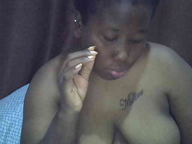 Casse-dellah webcam