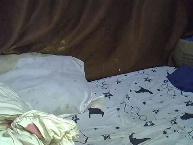 Casse-dellah webcam
