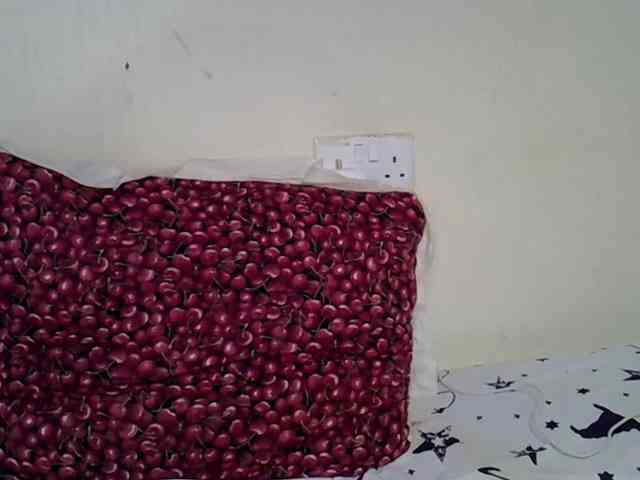 Casse-dellah webcam