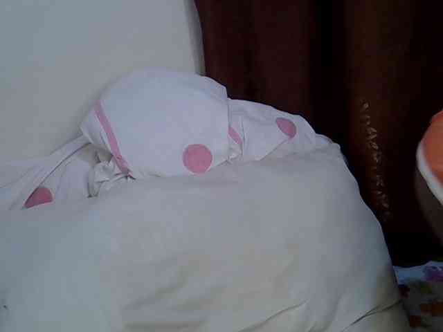 Casse-dellah webcam