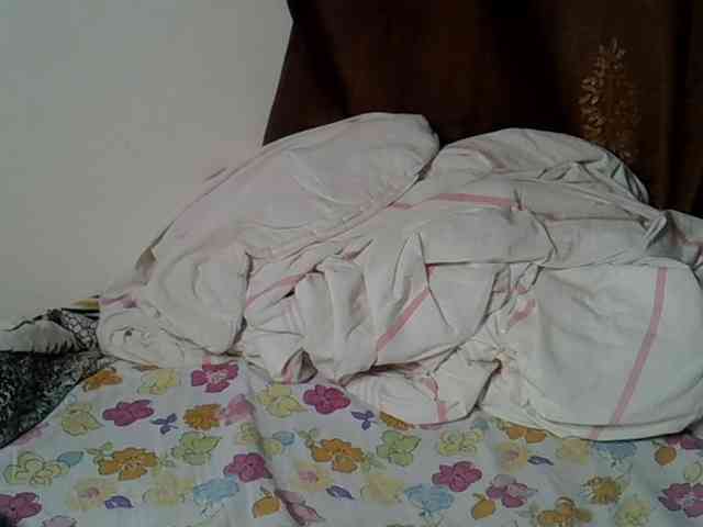 Casse-dellah webcam