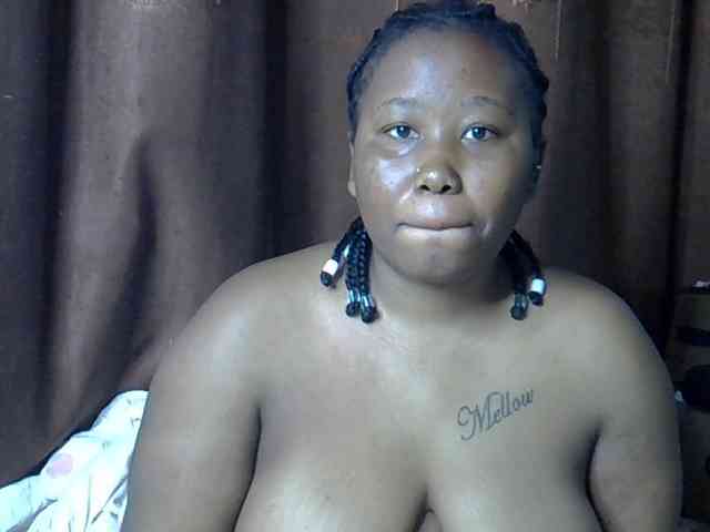 Casse-dellah webcam