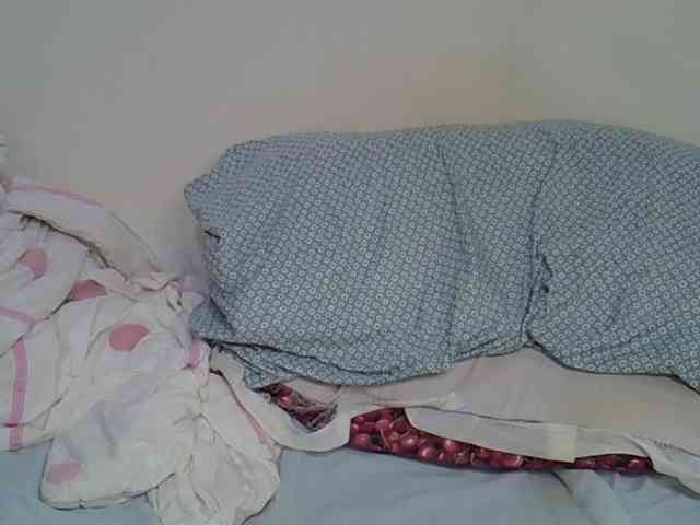 Casse-dellah webcam