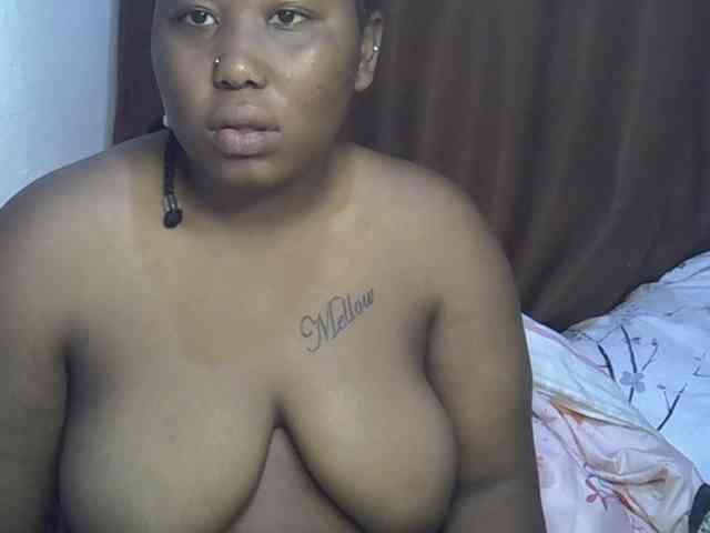 Casse-dellah webcam