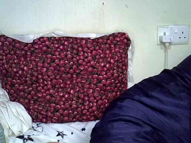Casse-dellah webcam