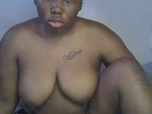 Casse-dellah webcam