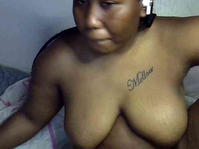 Casse-dellah webcam