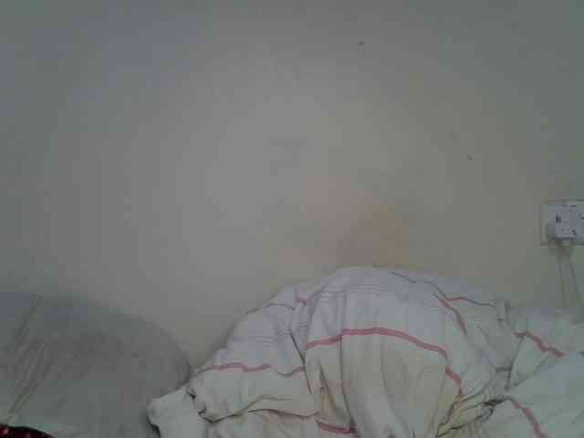 Casse-dellah webcam