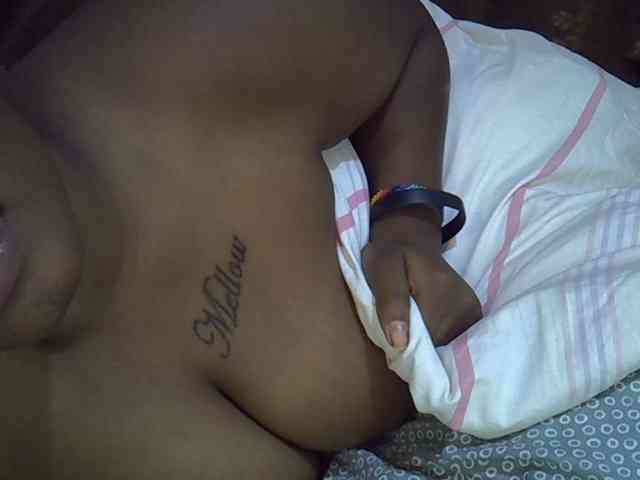 Casse-dellah webcam