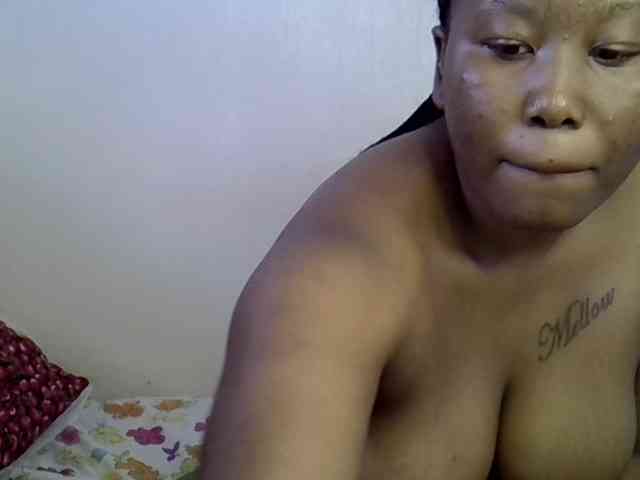 Casse-dellah webcam