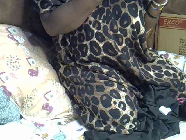 Casse-dellah webcam