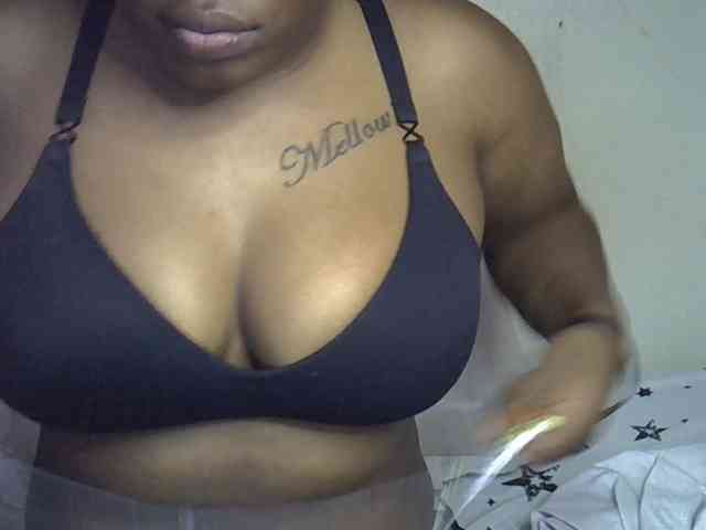 Casse-dellah webcam