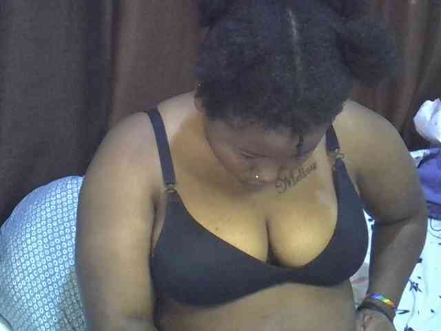Casse-dellah webcam