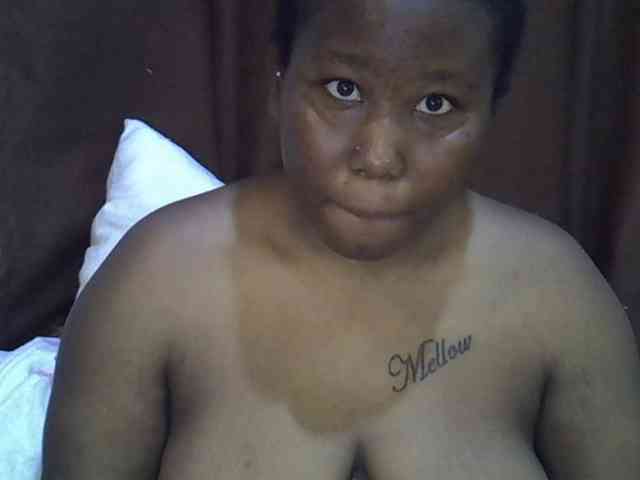 Casse-dellah webcam