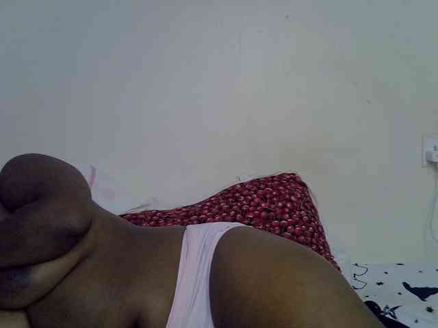 Casse-dellah webcam