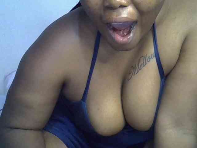 Casse-dellah webcam