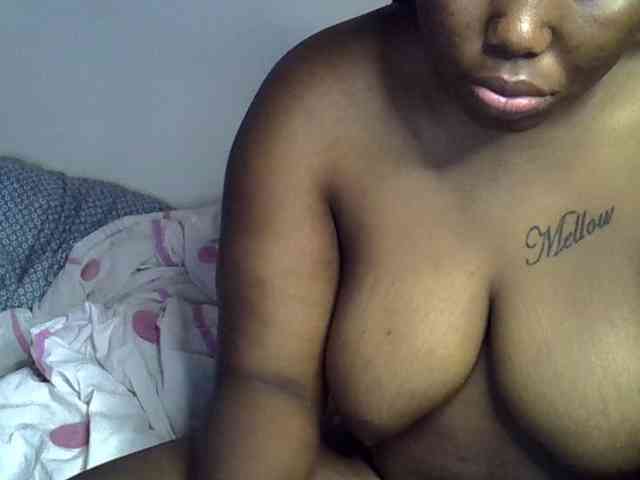 Casse-dellah webcam