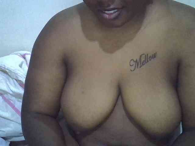 Casse-dellah webcam
