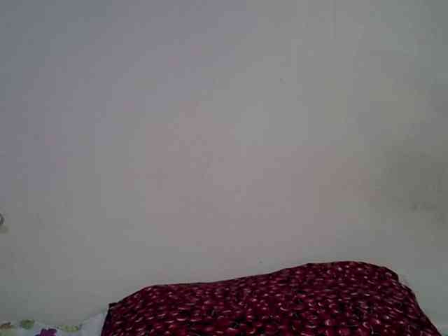 Casse-dellah webcam