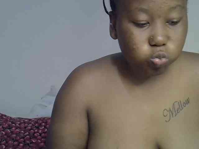 Casse-dellah webcam