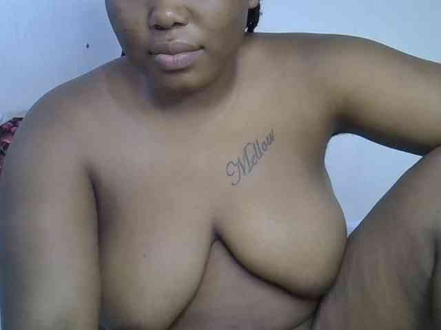 Casse-dellah webcam