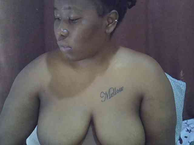 Casse-dellah webcam