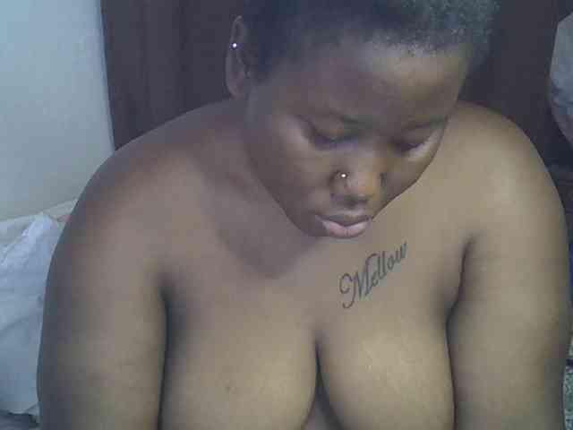 Casse-dellah webcam