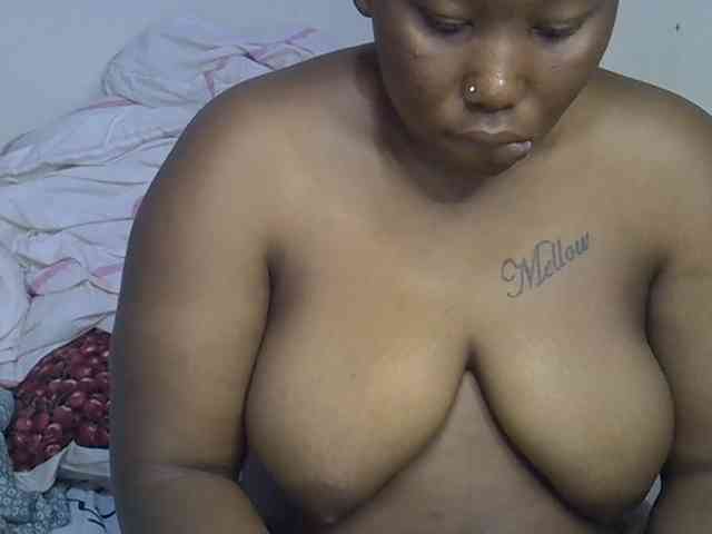 Casse-dellah webcam