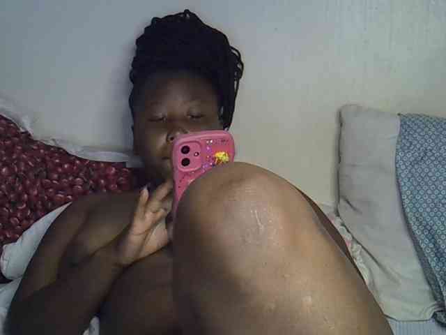 Casse-dellah webcam