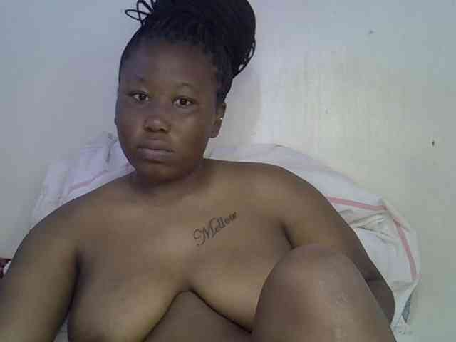Casse-dellah webcam
