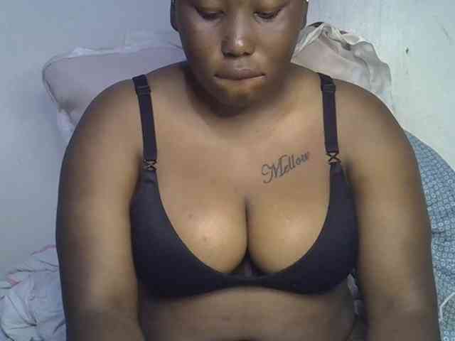 Casse-dellah webcam