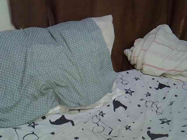 Casse-dellah webcam