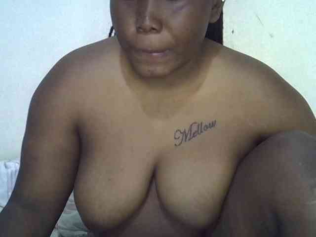 Casse-dellah webcam