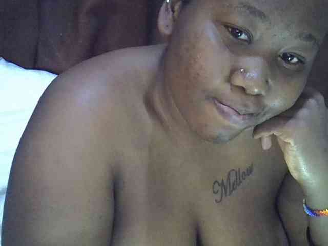 Casse-dellah webcam