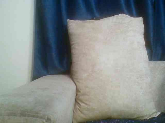 Catecatey001 webcam