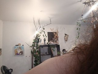 P-A-N-T-E-R-A Porn Show