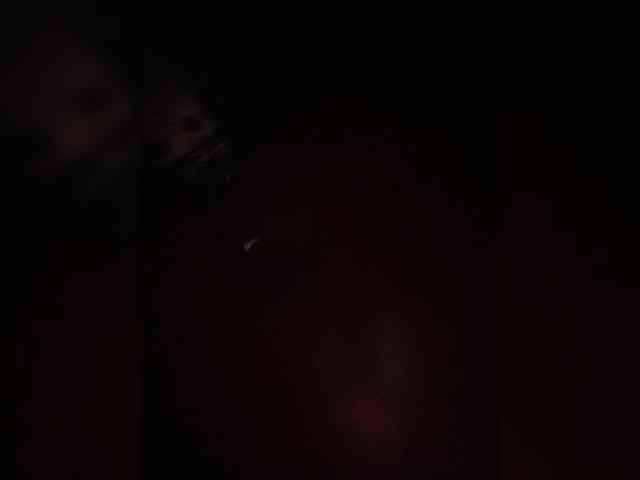 P-a-n-t-e-r-a webcam