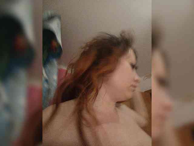 P-a-n-t-e-r-a webcam