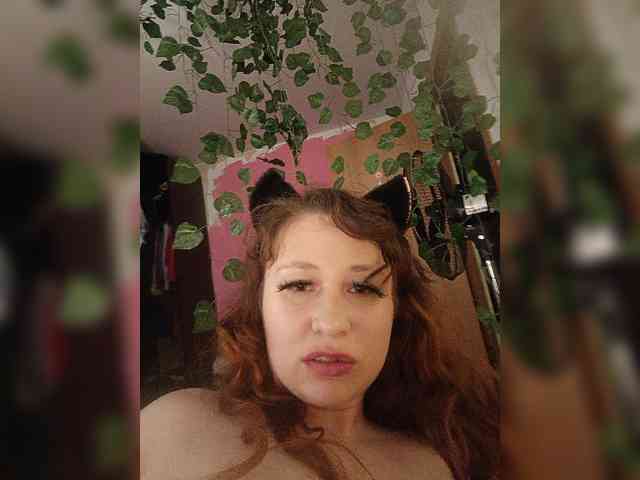 P-a-n-t-e-r-a webcam