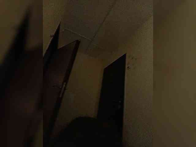 P-a-n-t-e-r-a webcam