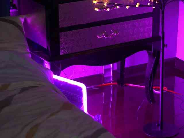 ArianaDark webcam