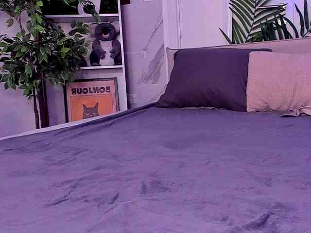 altuha-sgosuslug webcam
