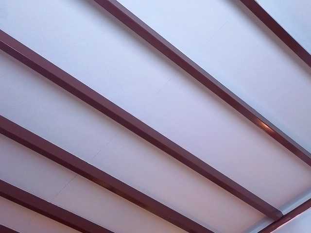 Brielaveneno